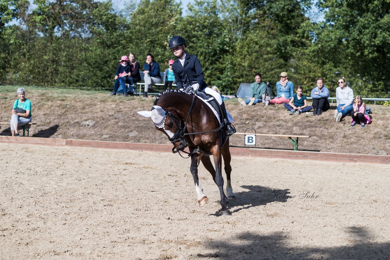 Bild 65 - Pony Akademie Turnier